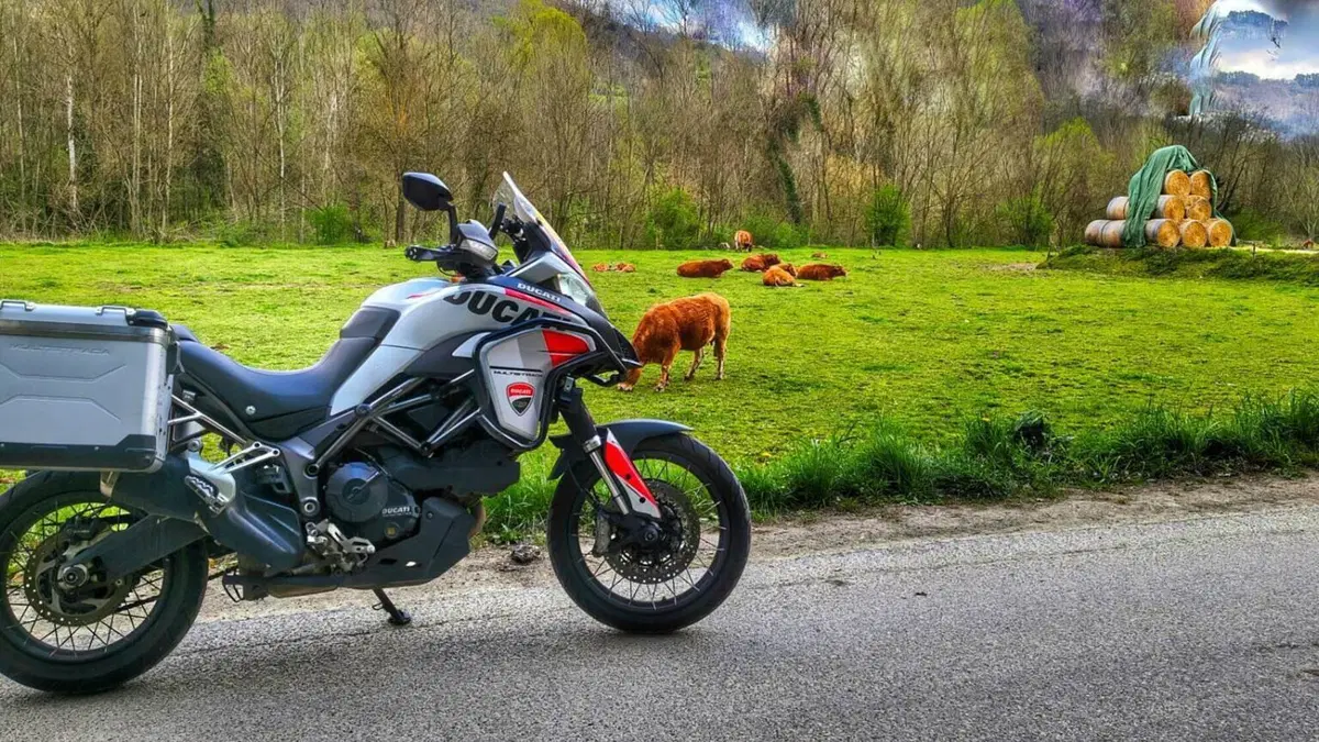 Ducati Multistrada 950 (2018)  (5)