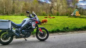 Ducati Multistrada 950 (2018)  (5)