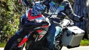 Ducati Multistrada 950 (2018)  (6)