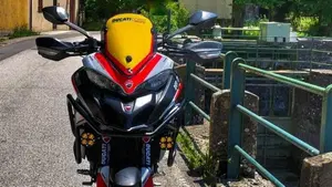 Ducati Multistrada 950 (2018)  (14)
