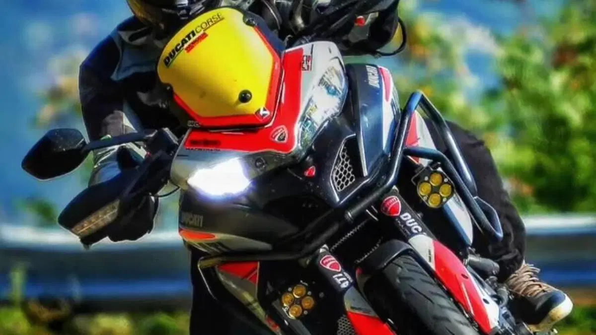 Ducati Multistrada 950 (2018)  (18)