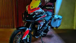 Ducati Multistrada 950 (2018)  (20)