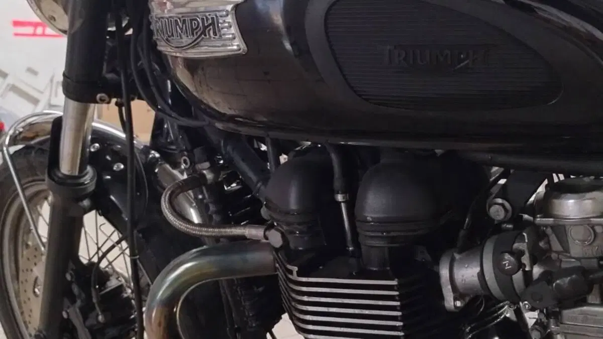 Triumph Bonneville T100 (2008 - 16)  (5)