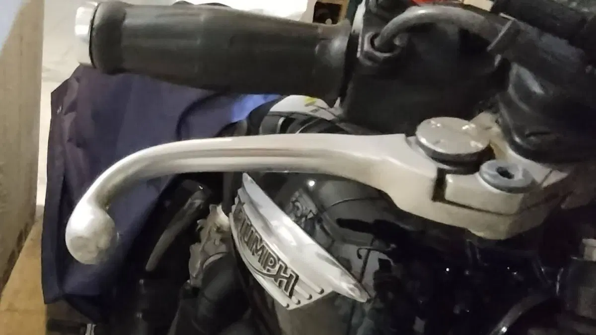 Triumph Bonneville T100 (2008 - 16)  (7)