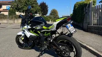 Kawasaki Z 125 (2021 - 24)