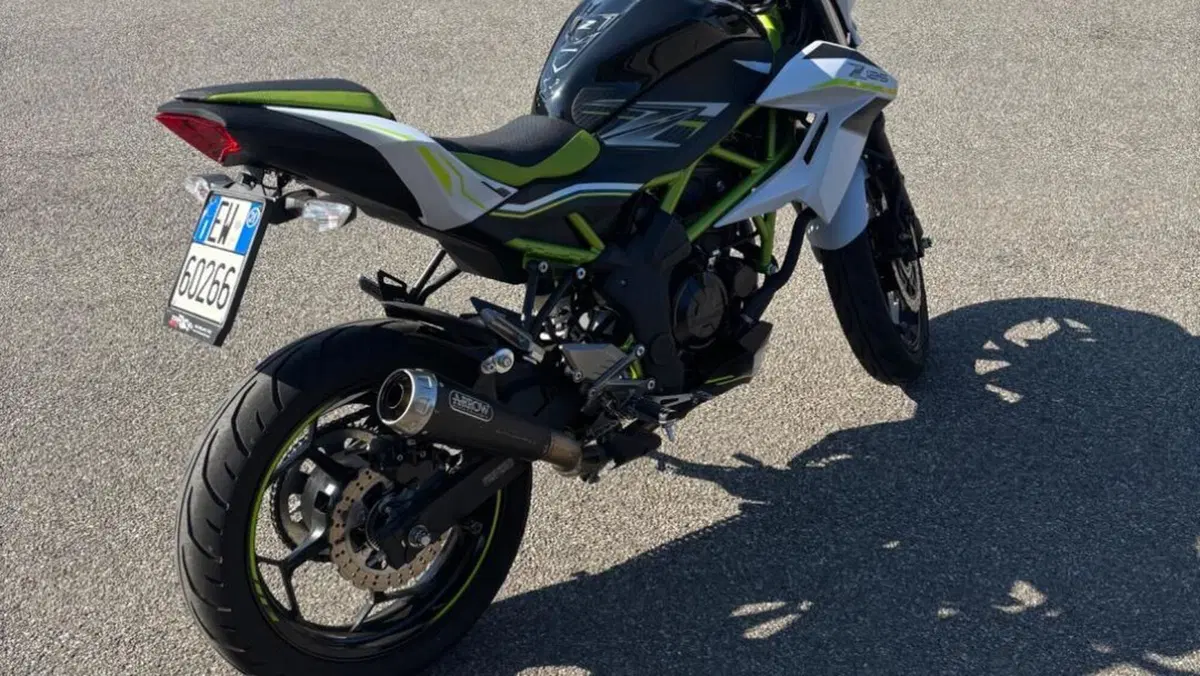 Kawasaki Z 125 (2021 - 24)  (2)