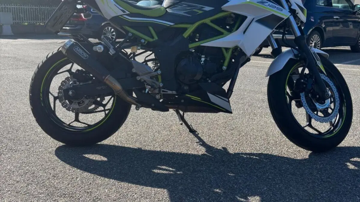Kawasaki Z 125 (2021 - 24)  (3)