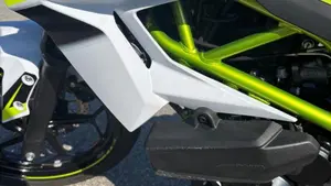 Kawasaki Z 125 (2021 - 24)  (5)