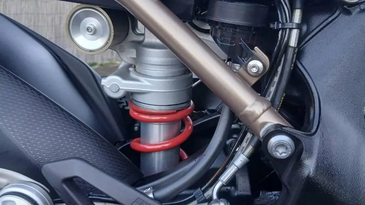 Bmw S 1000 RR (2019 - 20)  (10)