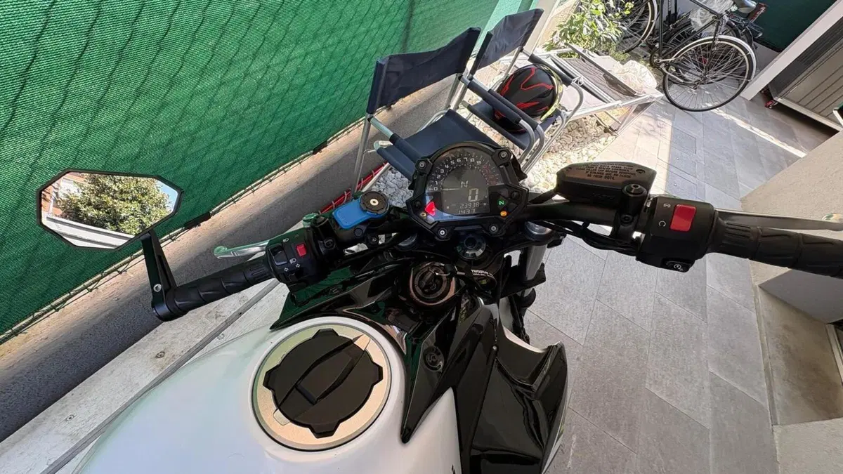 Kawasaki Z 650 (2017 - 19)  (3)