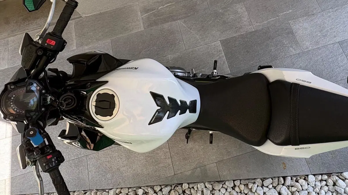 Kawasaki Z 650 (2017 - 19)  (4)