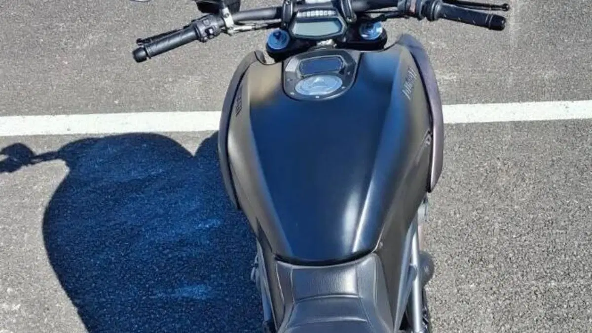 Ducati Diavel 1200 (2014 - 16)  (6)
