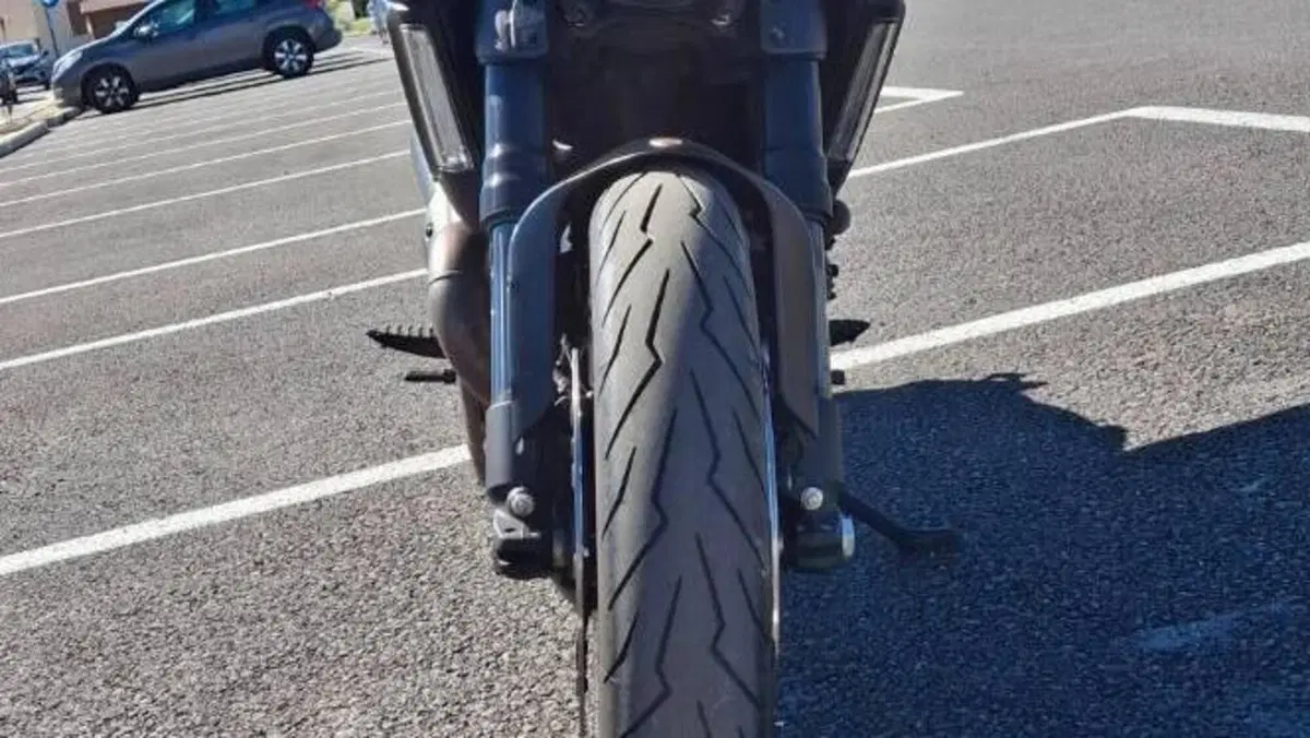 Ducati Diavel 1200 (2014 - 16)  (7)