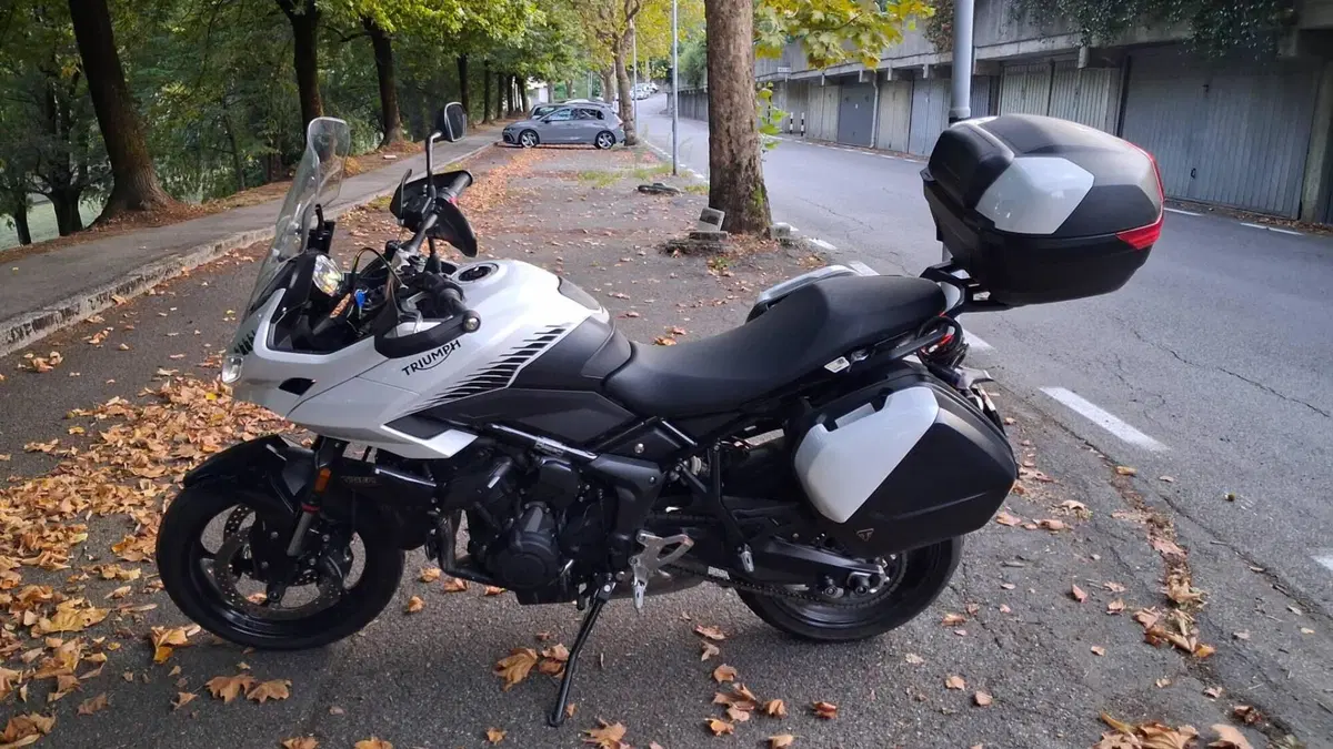 Triumph Trident 660 (2021 - 24) 