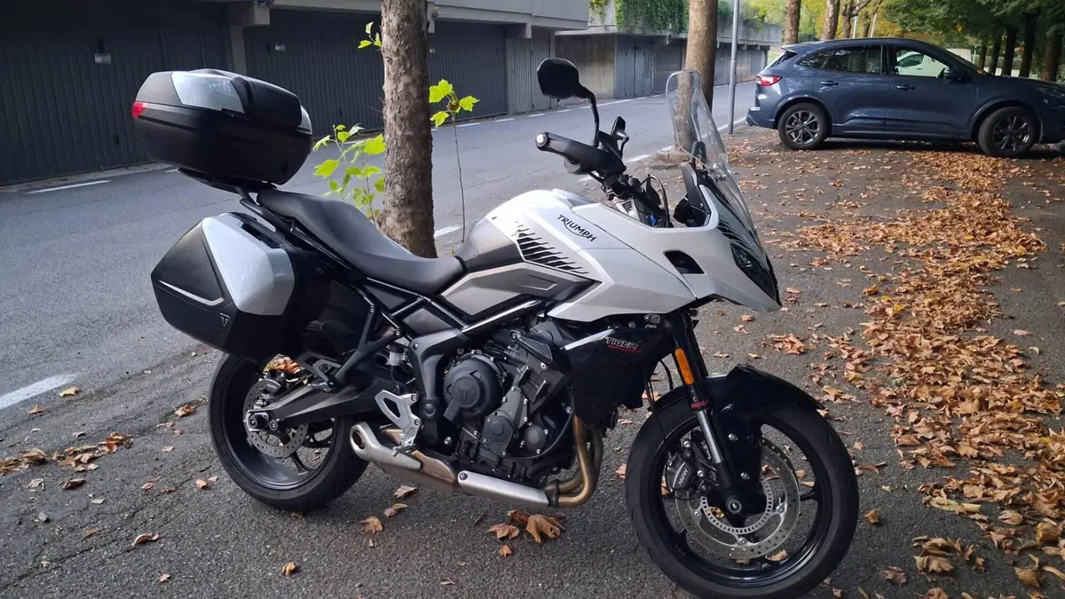 Triumph Trident 660 (2021 - 24)  (3)