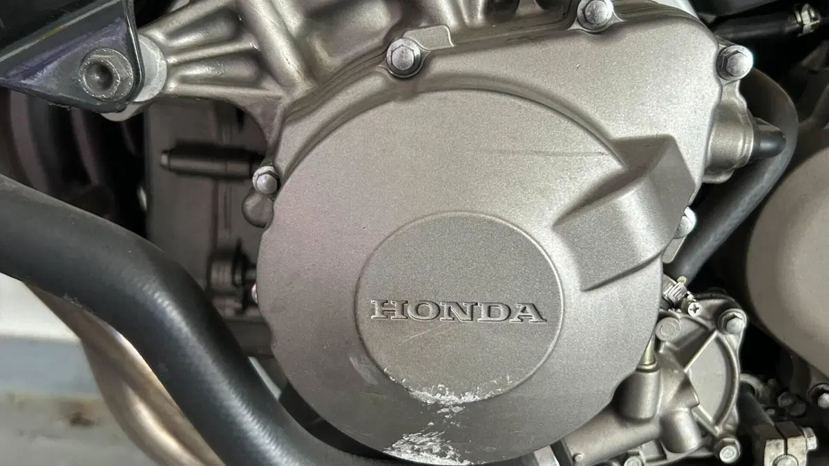 Honda Hornet 600 (2003 - 04)  (6)