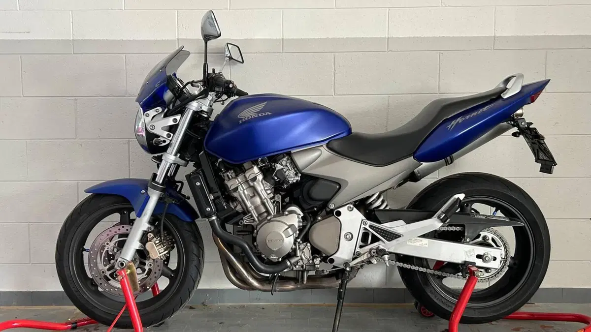 Honda Hornet 600 (2003 - 04)  (4)
