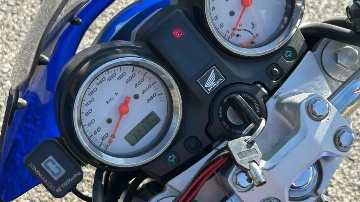 Honda Hornet 600 (2003 - 04)  (5)