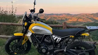 Ducati Scrambler 800 Icon (2025 - 26)