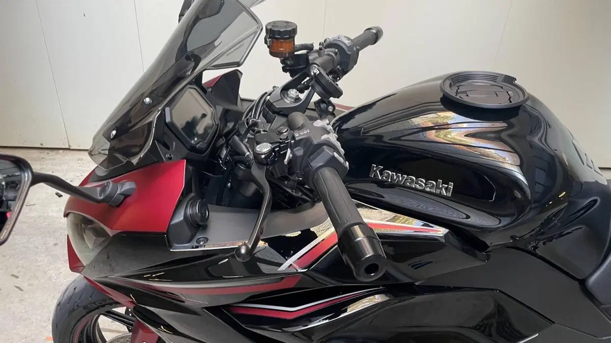 Kawasaki Ninja 1000 SX Tourer (2021 - 24)  (6)