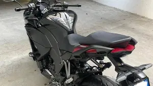 Kawasaki Ninja 1000 SX Tourer (2021 - 24)  (10)