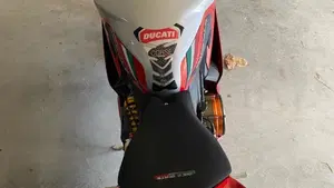 Ducati 1199 Panigale ABS (2013 - 14)  (5)