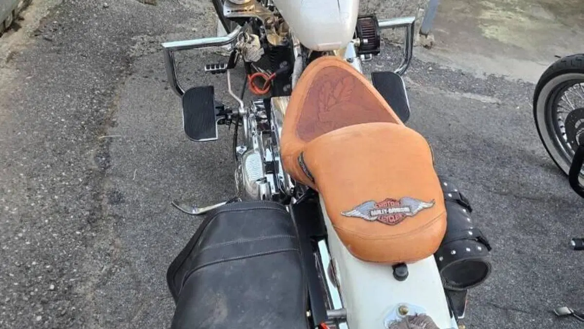 Harley-Davidson 1200 Custom (2001 - 03) - XL 1200C  (2)