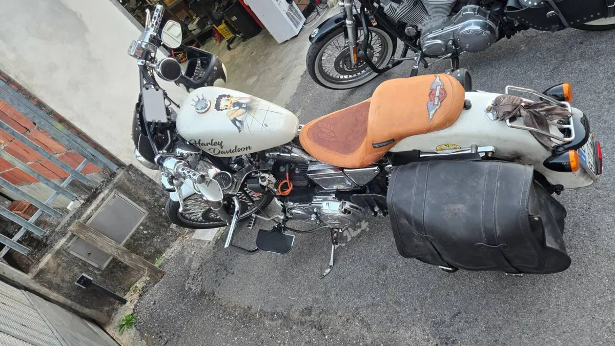 Harley-Davidson 1200 Custom (2001 - 03) - XL 1200C  (4)