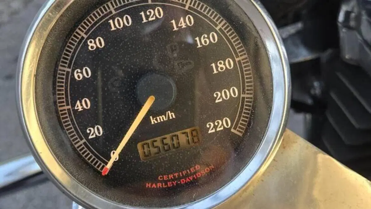 Harley-Davidson 1200 Custom (2001 - 03) - XL 1200C  (5)