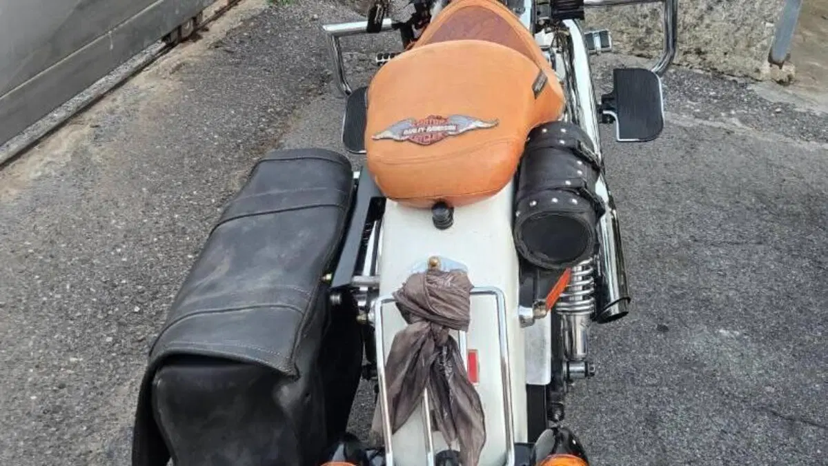 Harley-Davidson 1200 Custom (2001 - 03) - XL 1200C  (6)