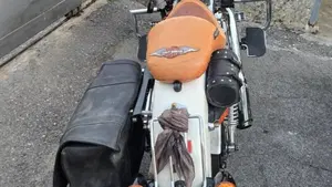 Harley-Davidson 1200 Custom (2001 - 03) - XL 1200C  (6)