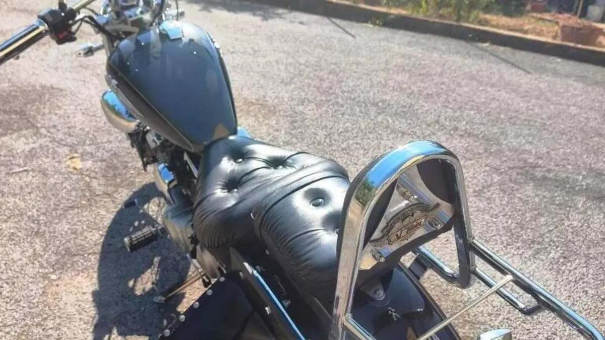 Yamaha XV 250 S Virago (1994 - 01)  (2)