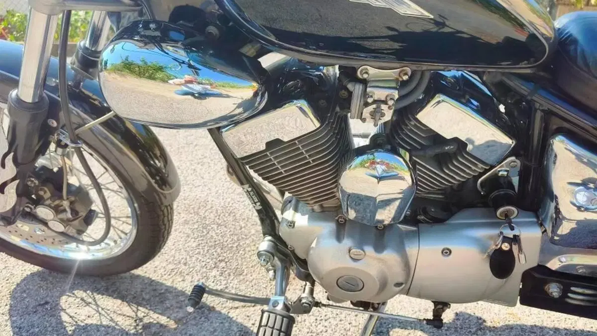 Yamaha XV 250 S Virago (1994 - 01)  (3)