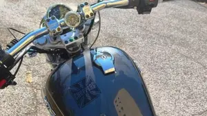 Yamaha XV 250 S Virago (1994 - 01)  (7)