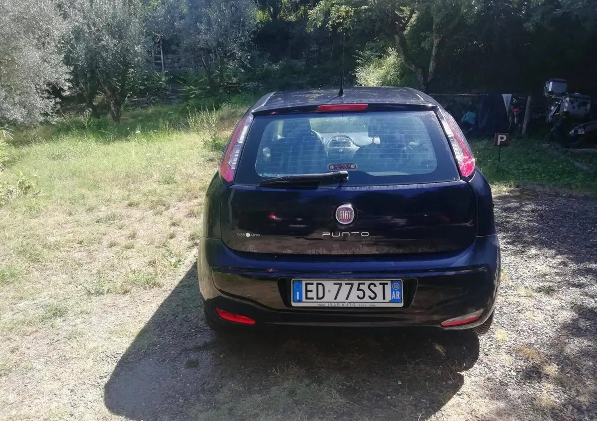 Fiat Punto Evo 1.2 3 porte S&S Active (2)
