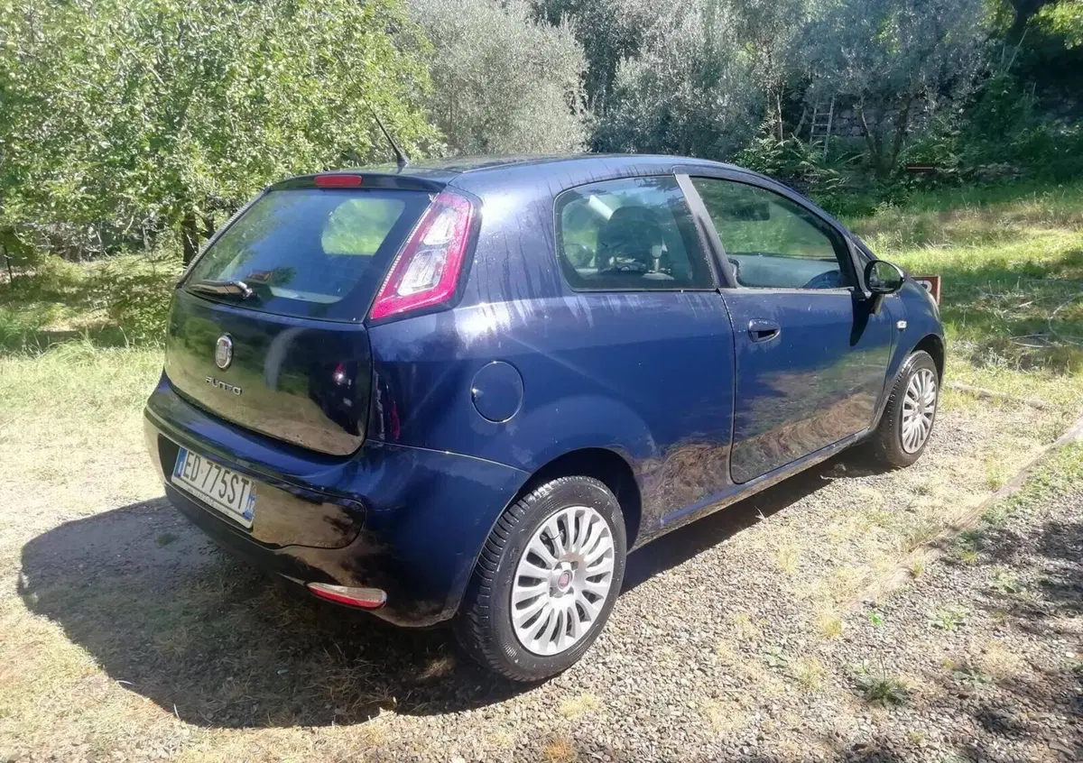 Fiat Punto Evo 1.2 3 porte S&S Active (3)