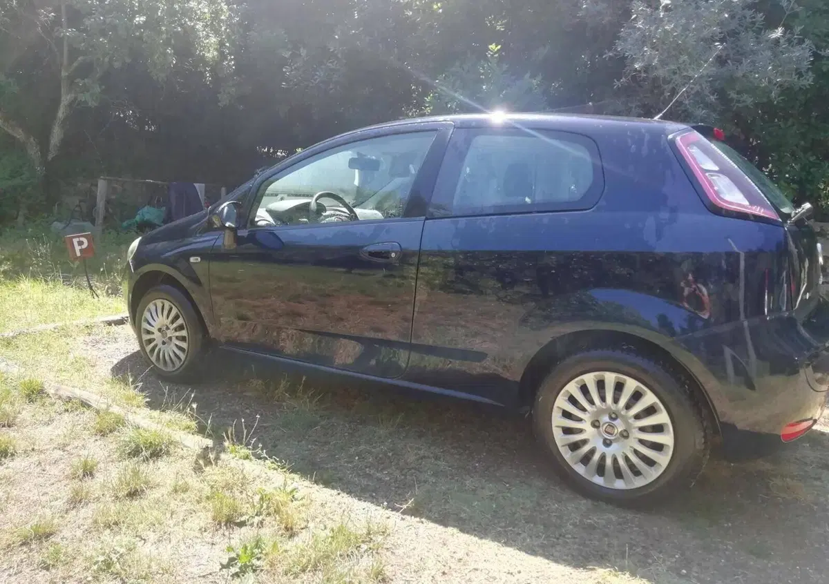 Fiat Punto Evo 1.2 3 porte S&S Active (6)