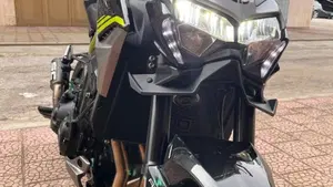 Kawasaki Z 900 (2020)  (2)