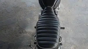 Kawasaki W 800 (2021 - 26)  (3)
