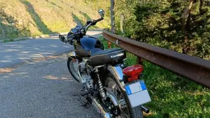 Kawasaki W 800 (2021 - 26)  (4)