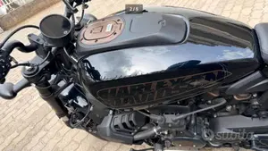 Harley-Davidson Sportster S (2022 - 24)  (2)