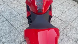 Ducati SuperSport 950 S (2021 - 24)  (5)