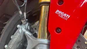 Ducati SuperSport 950 S (2021 - 24)  (10)