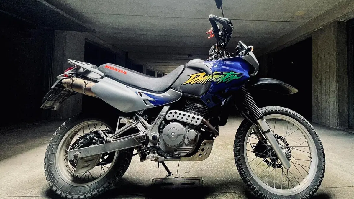 Honda NX 650 Dominator (1996 - 02)  (3)