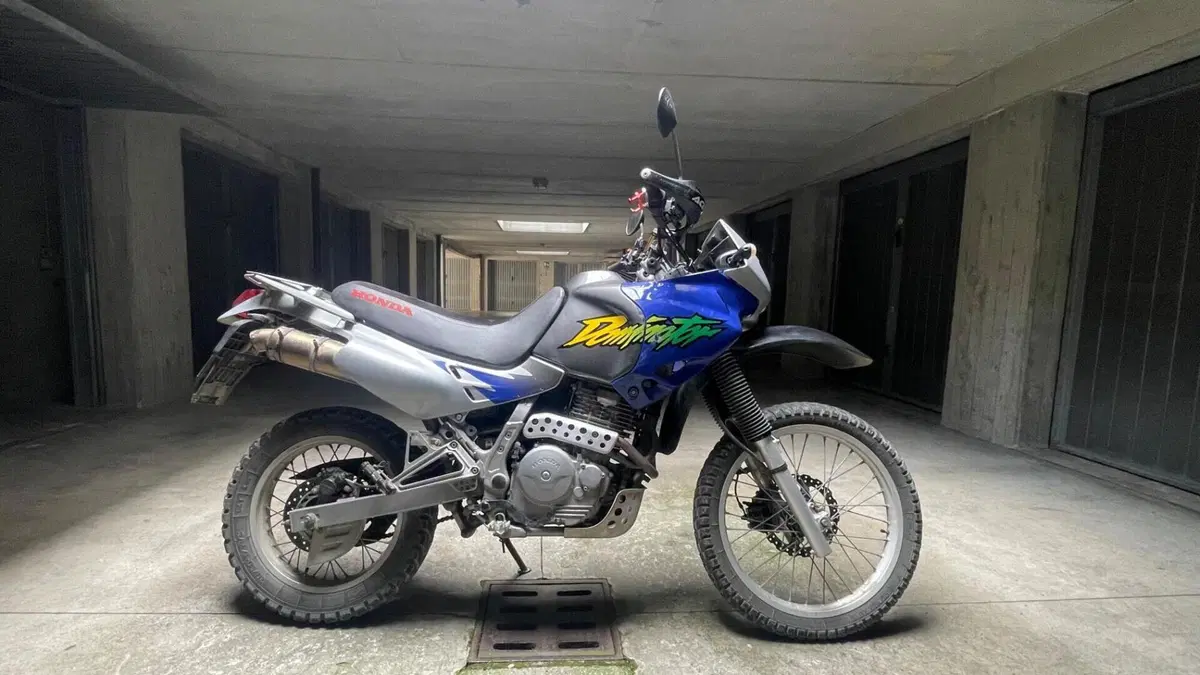 Honda NX 650 Dominator (1996 - 02)  (7)