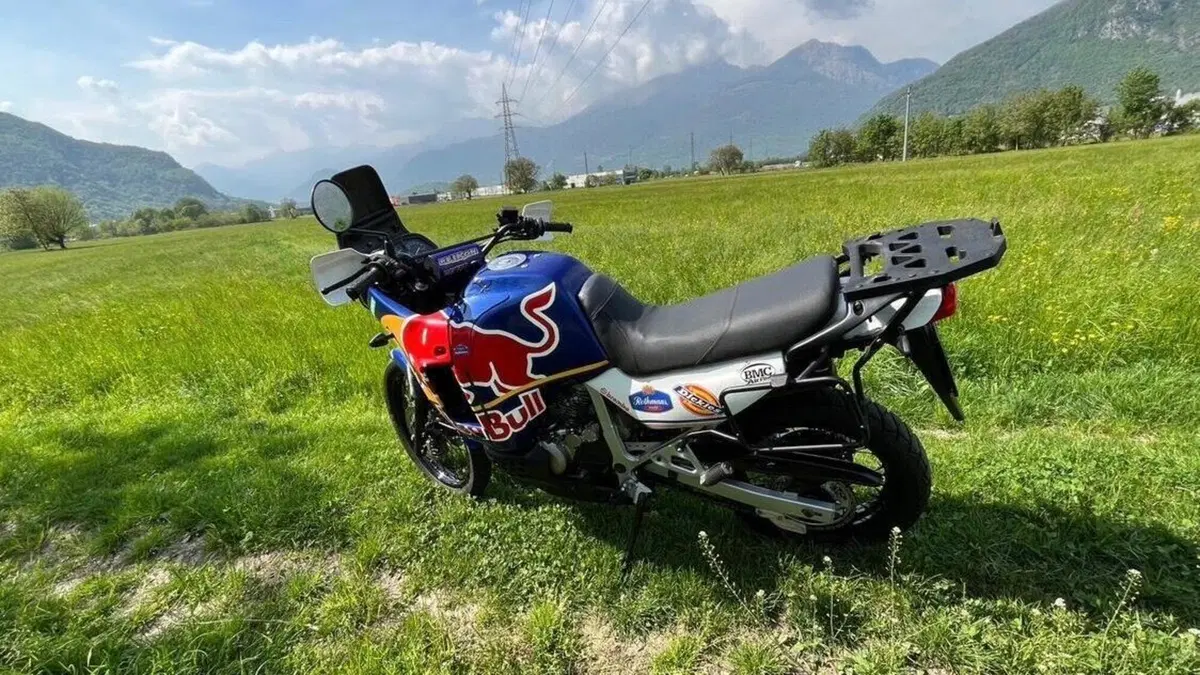 Honda Transalp XL 600V (1997 - 99)  (5)