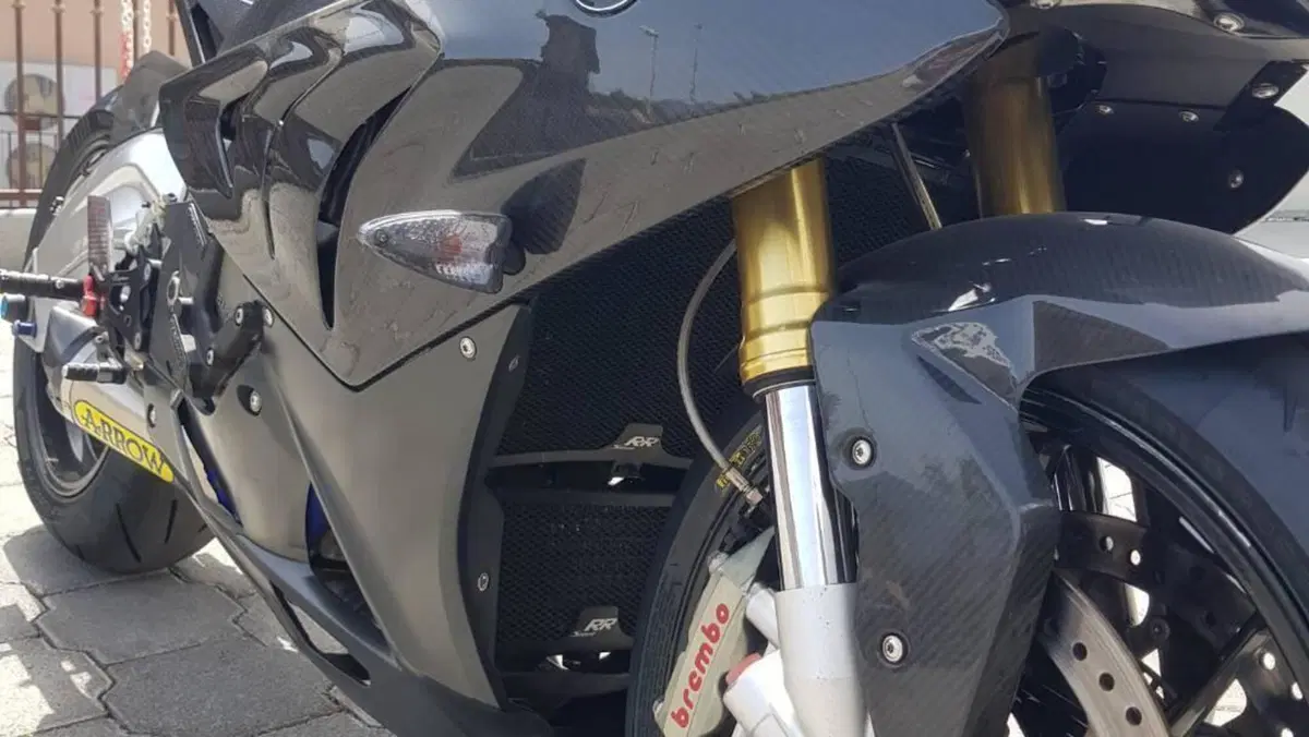 Bmw S 1000 RR (2009 - 12)  (6)
