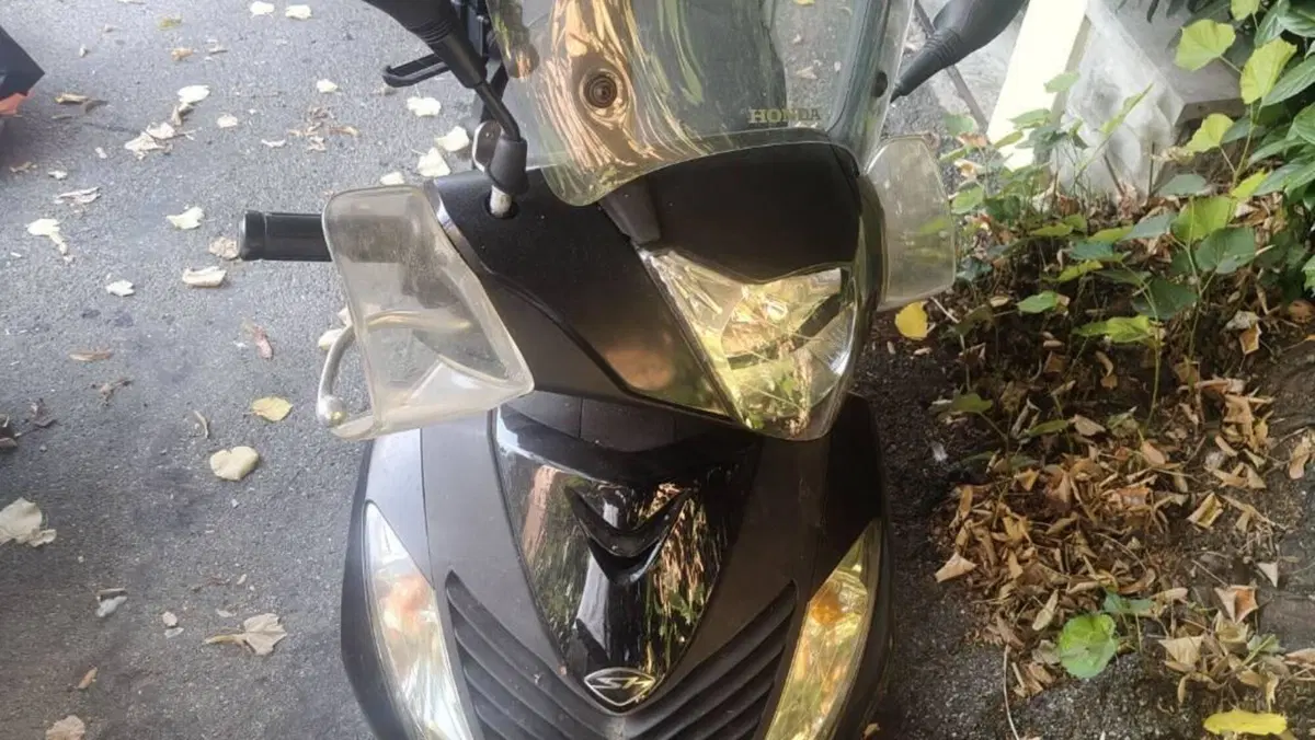Honda SH 125 i (2009 - 12)  (2)