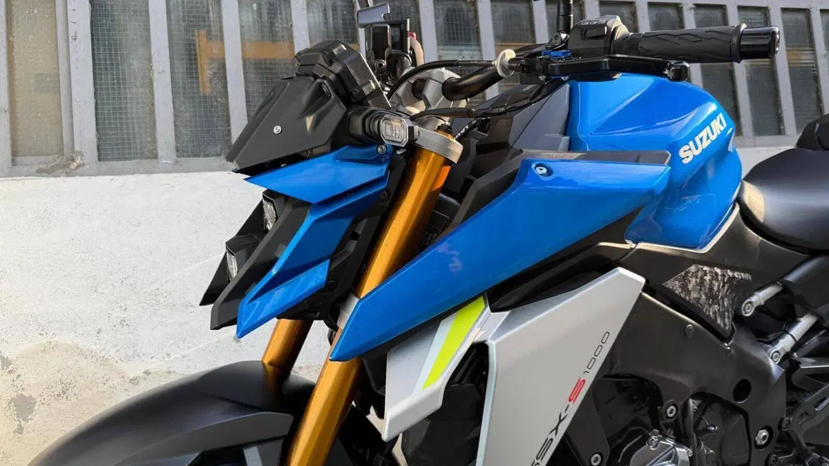 Suzuki GSX-S1000 (2021 - 25)  (2)