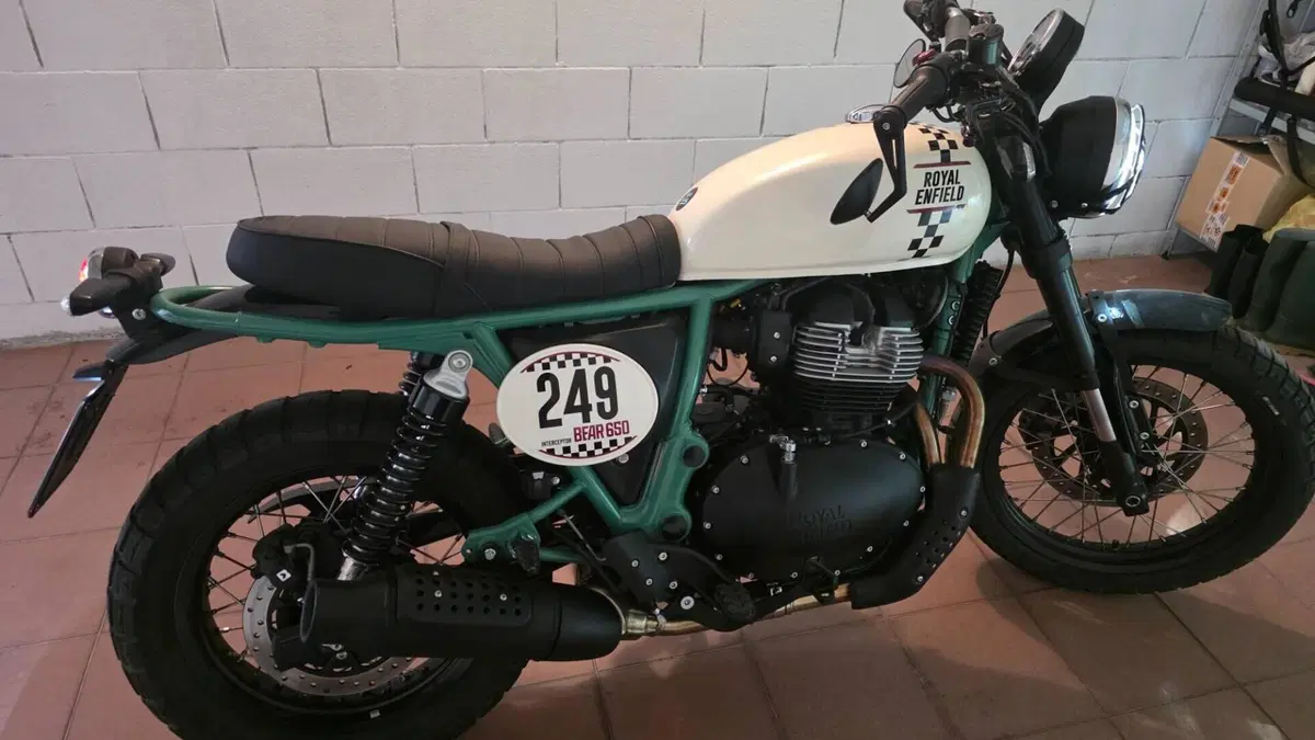 Royal Enfield Bear 650 (2025 - 26) 